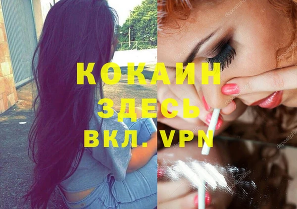 стаф Алексеевка