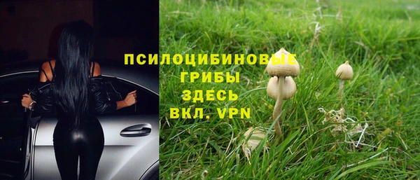 герыч Алексин