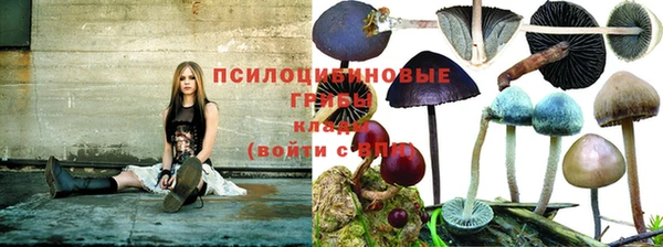 стаф Алексеевка