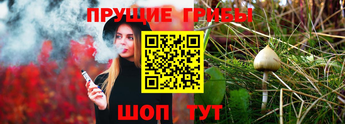 Псилоцибиновые грибы прущие грибы Апшеронск